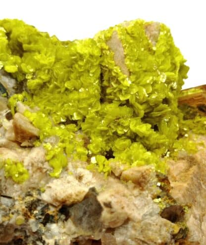 Autunite et Muscovite, Vénachat, Haute-Vienne, Limousin.