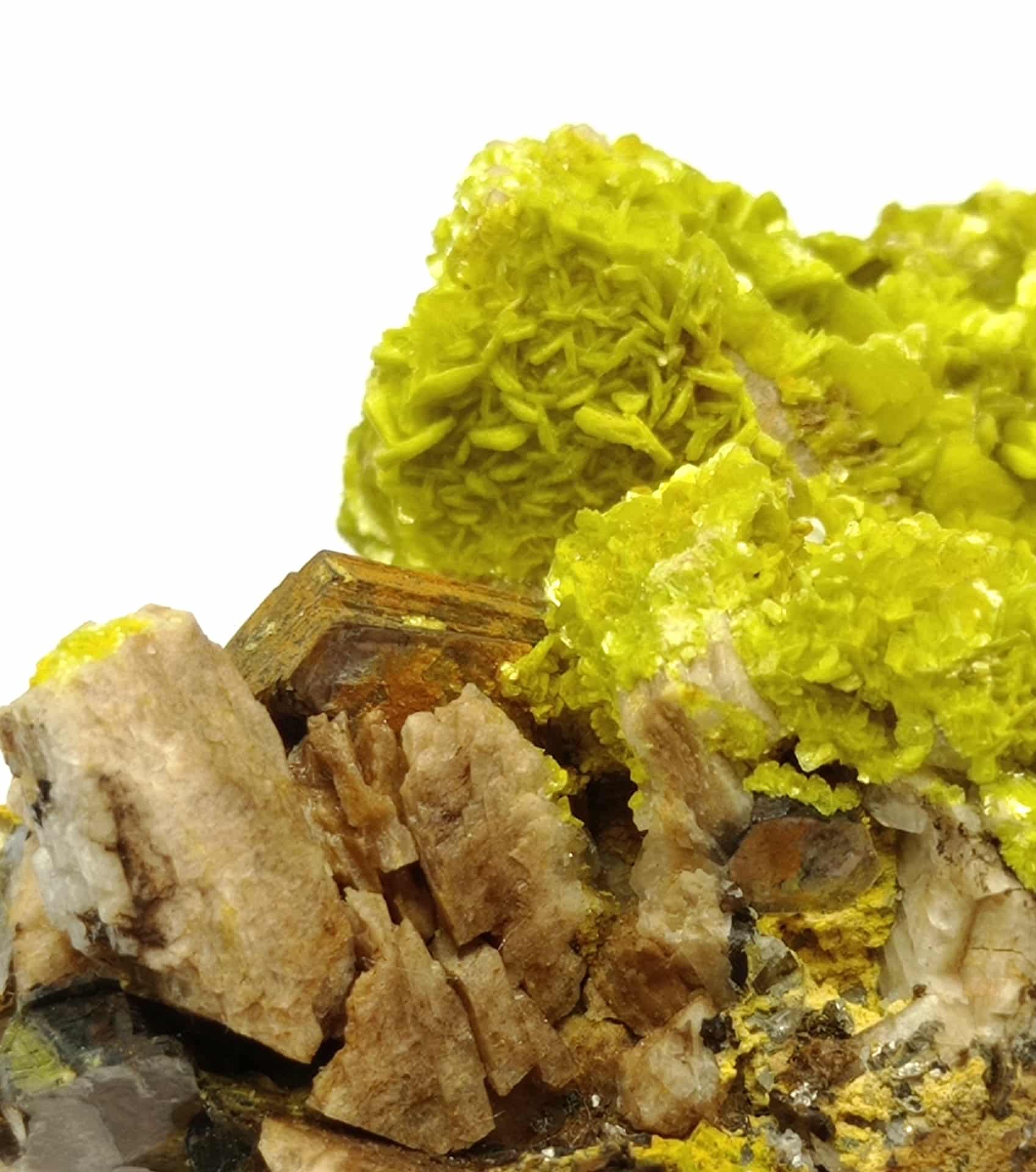 Autunite et Muscovite, Vénachat, Haute-Vienne, Limousin.