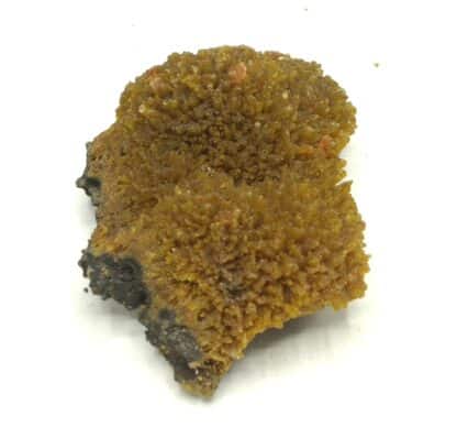 Wulfénite sur Pyromorphite, Les Farges, Ussel, Corrèze.