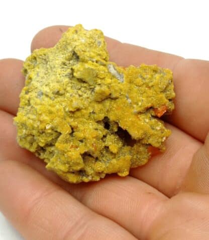 Wulfénite et Pyromorphite, Les Farges, Ussel, Corrèze.