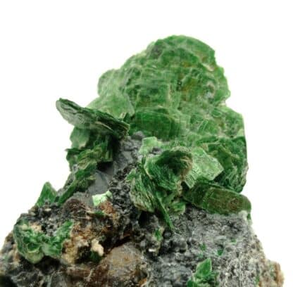 Torbernite, Les Bois-Noirs, Saint-Priest-la-Prugne, Forez, Loire.