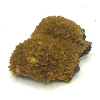 Wulfénite sur Pyromorphite, Les Farges, Ussel, Corrèze.