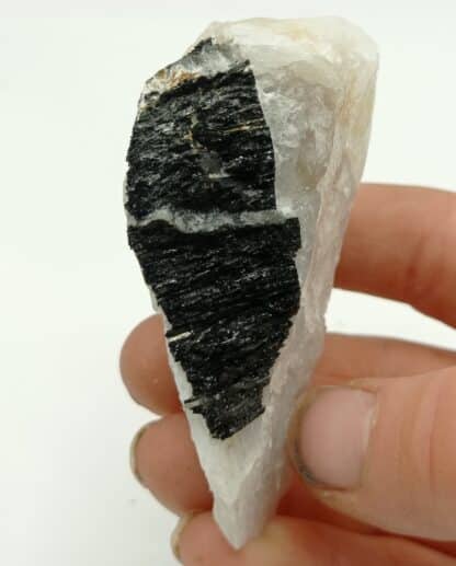 Tourmaline Schorl, Beauchaud, Forez, Puy-de-Dôme, Auvergne.