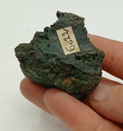 Nickelgymnit (Antigorite, Garniérite), Australien (Australie).