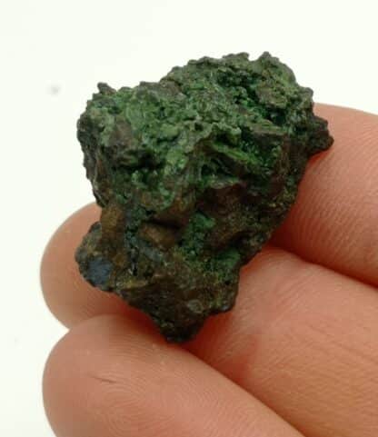 Nickelgymnit (Antigorite, Garniérite), Australien (Australie).