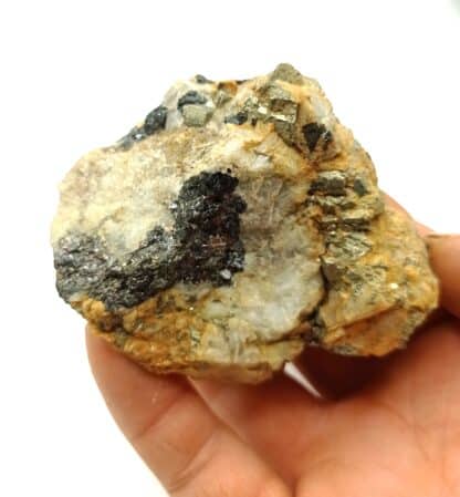 Pyrite et Sphalérite (blende), Campiglio Marittima, Toscane, Italie.