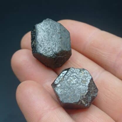 Augite, Schima, Bohême, République Tchèque.