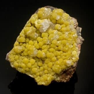 Calcite sur Mimétite, Ojuela, Mexique.