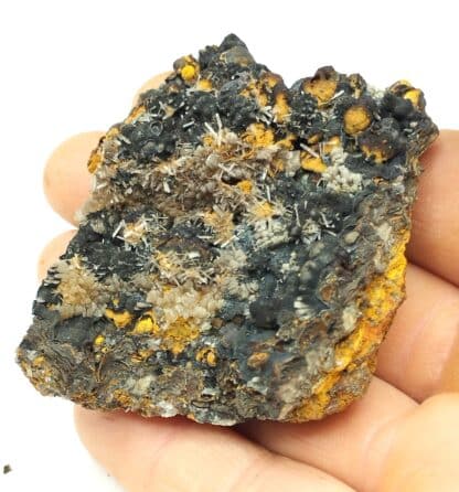 Hémimorphite, Ojuela, Mexique.