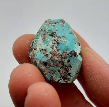 Turquoise, mine de Meshed, Iran.