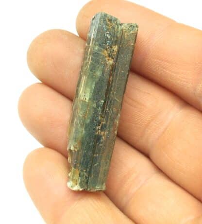 Disthène (Kyanite), Minas Gerais, Brésil.