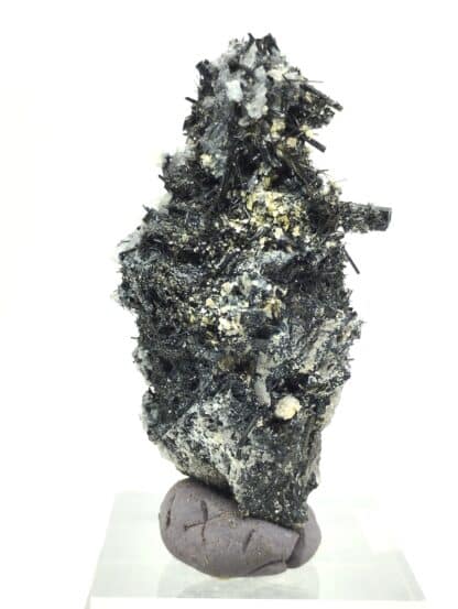 Tourmaline (Schorl) sur Quartz, Carrière Menou, Saint Salvy, Tarn.