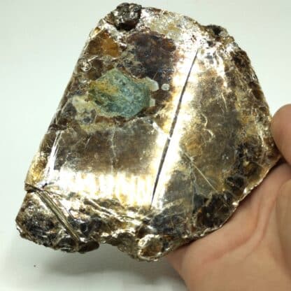 Phlogopite (Mica) et Apatite, Ontario, Canada.