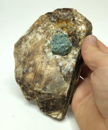 Phlogopite (Mica) et Apatite, Ontario, Canada.