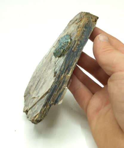 Phlogopite (Mica) et Apatite, Ontario, Canada.