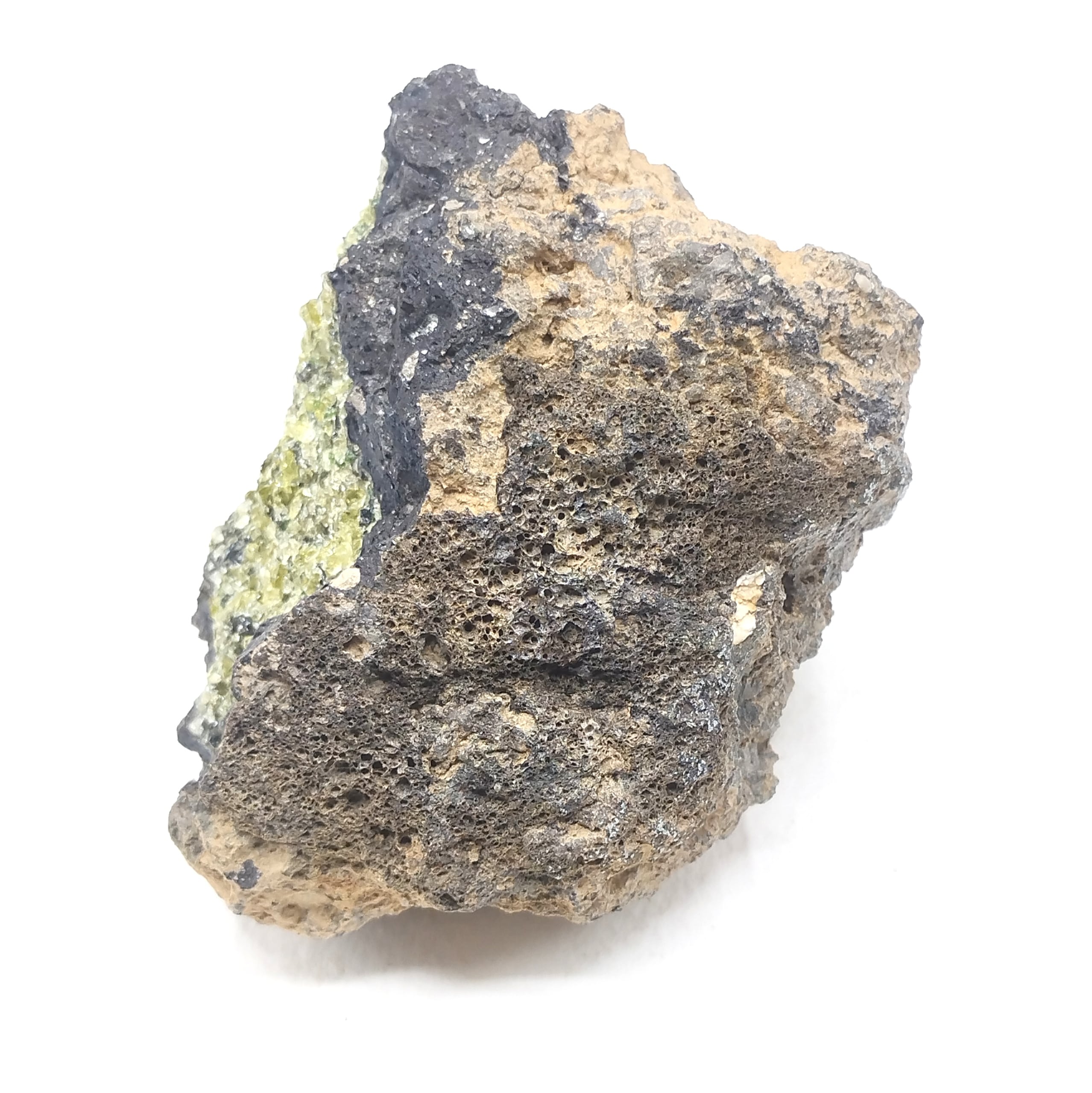 Olivine, Canet d’Adri, Gérone, Espagne.