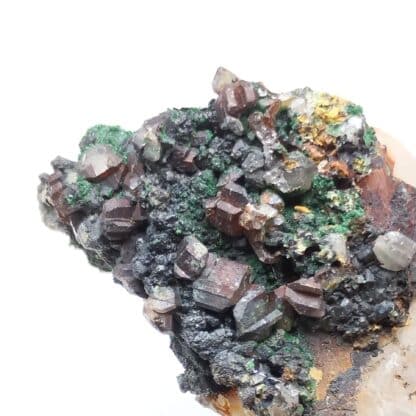 Cérusite et Malachite sur Baryte, La Caune des Causses, Palairac, Aude.