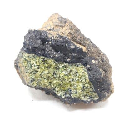 Olivine, Canet d’Adri, Gérone, Espagne.