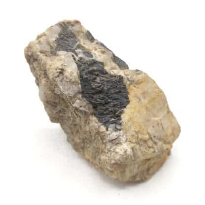 Schorl (Tourmaline), Mont Caroux, Douch, Rosis, Hérault.