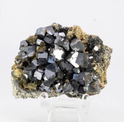 Galène et Chalcopyrite, Madan, Bulgarie.