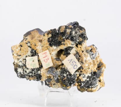 Galène et Chalcopyrite, Madan, Bulgarie.