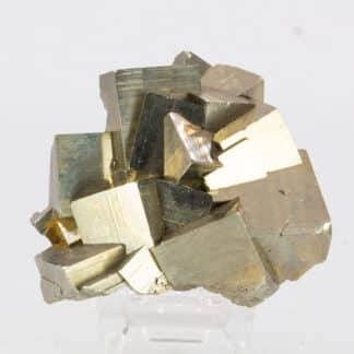 Pyrite, Niccioleta, Italie.