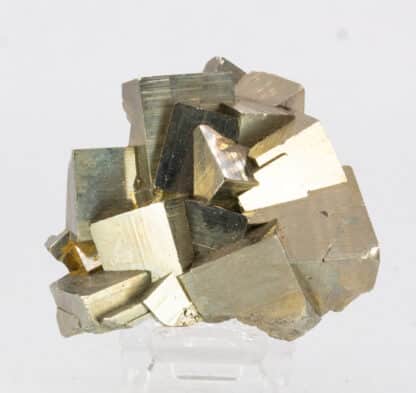 Pyrite, Niccioleta, Italie.