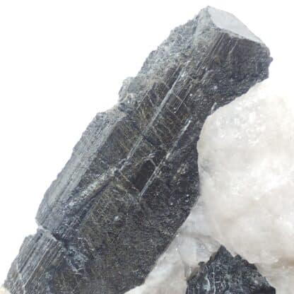 Tourmaline (Schorl), Carrière Terrade, Marmagne, Saône-et-Loire.