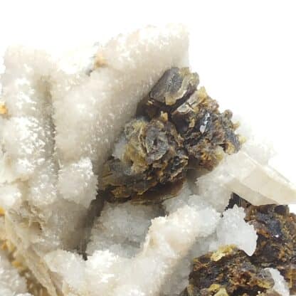 Blende (Sphalérite), Quartz & Baryte, La Chapelle, Steinbach, Haut-Rhin.