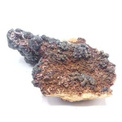 Goethite ps. Pyrite, Usclas-du-Bosc, Loiras, Hérault.