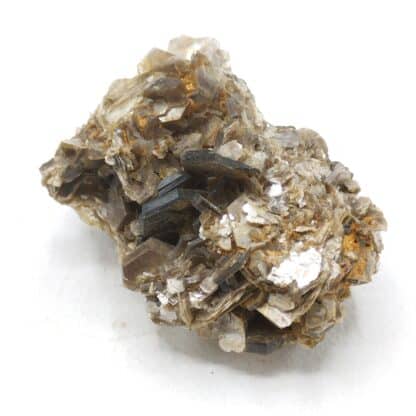 Muscovite, Yate Brooks farm, Cleveland, Caroline du Nord, USA (États-Unis).