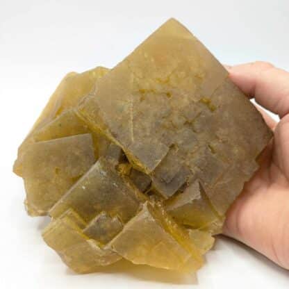 Fluorite (Fluorine) jaune, Le Beix, Puy-de-Dôme, Auvergne.