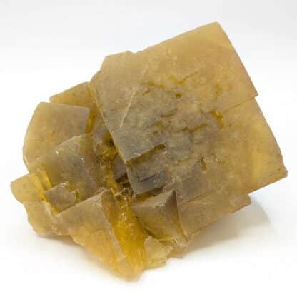 Fluorite (Fluorine) jaune, Le Beix, Puy-de-Dôme, Auvergne.