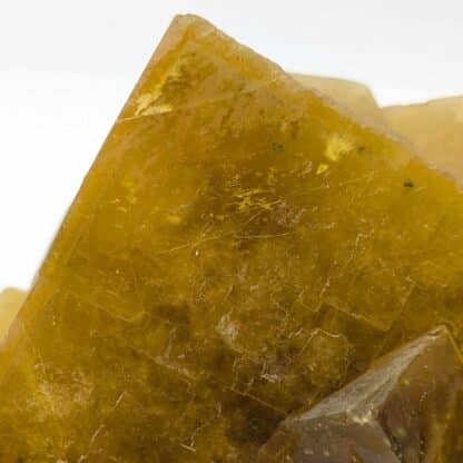 Fluorite (Fluorine) jaune, Le Beix, Puy-de-Dôme, Auvergne.