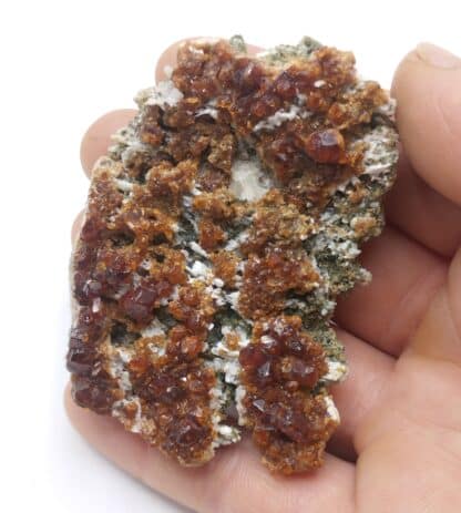 Grenat & Diopside, Asbestos, Quebec, Canada.