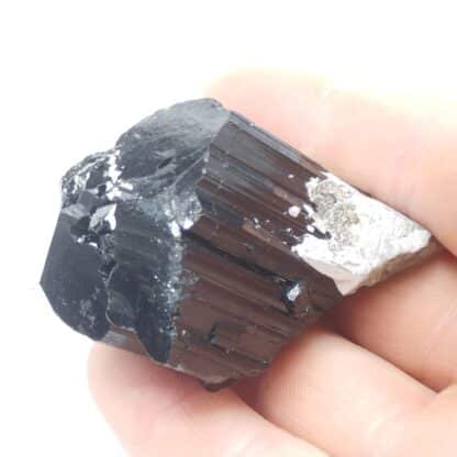 Schorl (Tourmaline),  Ambatosoratra, Madagascar.