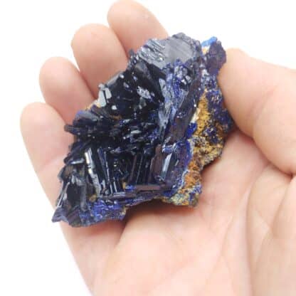 Azurite, Puits XII, Touissit, Maroc.