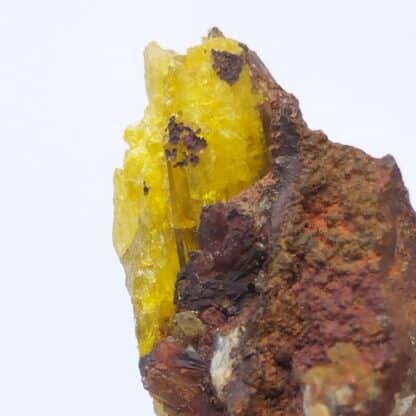 Legrandite, Mine Ojuela, Mapimi, Mexique.