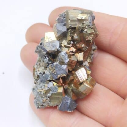 Galène, Pyrite & Quartz, Pasto Bueno, Pérou.