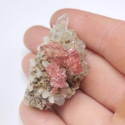 Rhodochrosite & Quartz (Macle), Pasto Bueno, Pérou.