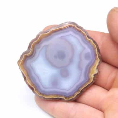 Agate Coyamito, Chihuahua, Mexique.