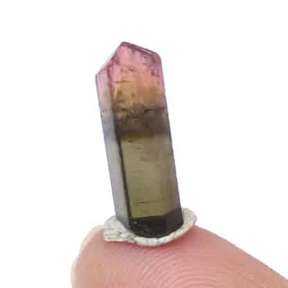 Tourmaline Elbaïte, Mine Golconda, Minas Gerais, Brésil.