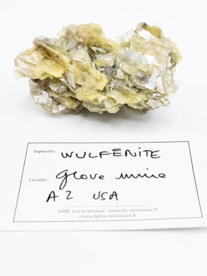 Wulfénite, Glove Mine, Arizona, USA (États-Unis).