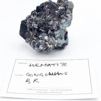 Rose d'Hematite, Minas Gerais, Brésil.