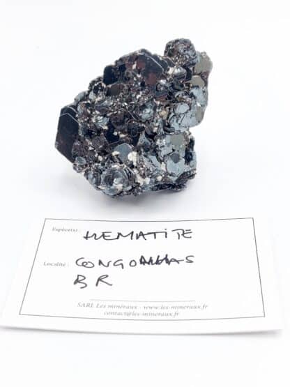 Rose d'Hematite, Minas Gerais, Brésil.