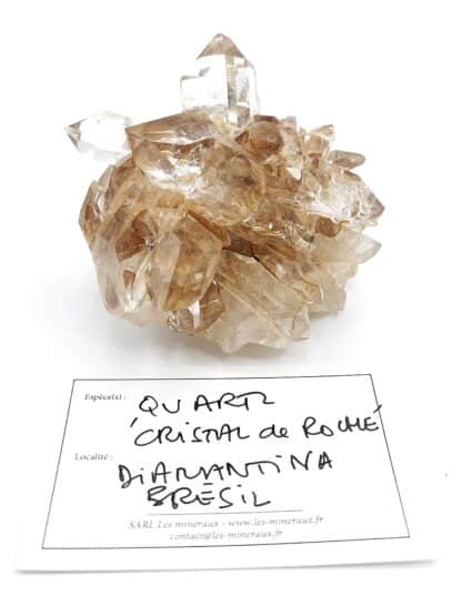 Quartz "cristal de roche", Diamantina, Brésil.