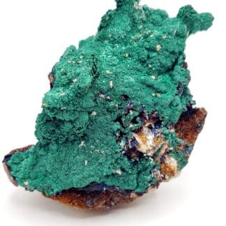 Azurite et Malachite, Touissit, Maroc.