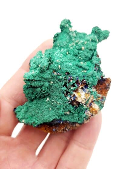 Azurite et Malachite, Touissit, Maroc.