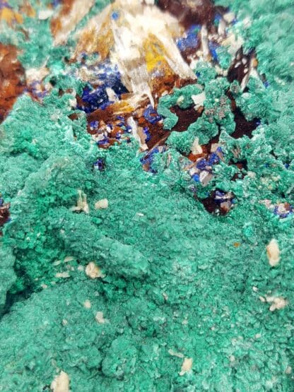 Azurite et Malachite, Touissit, Maroc.