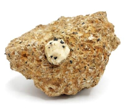 Leucite (lot de 4), Ariccia, Rome, Italie.